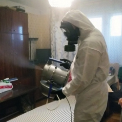 Дезинфекция от клопов в Дальнегорске