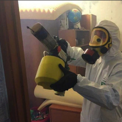 Уничтожение клопов в квартире. Дальнегорск
